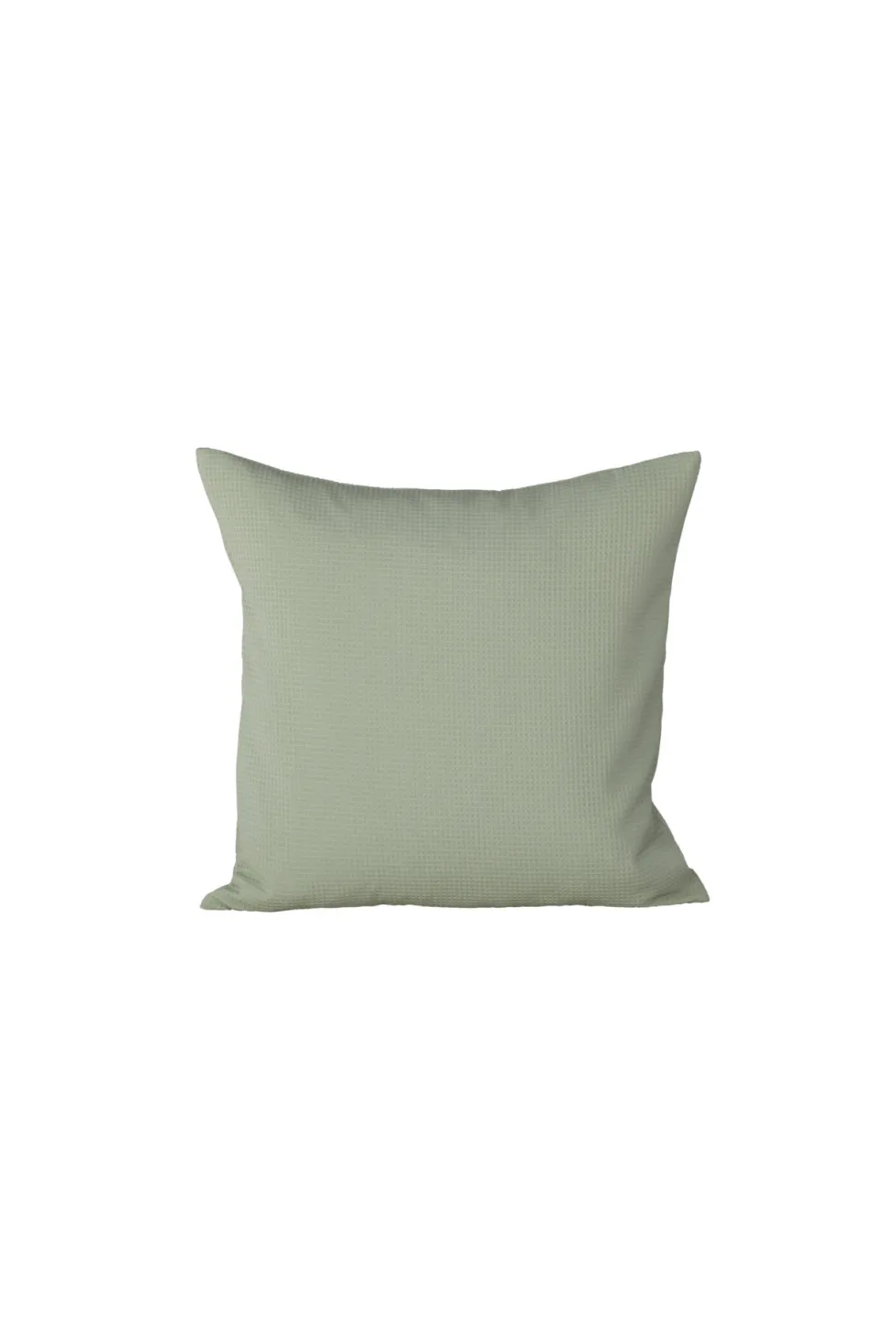 Celine Kuddfodral 50 x 50