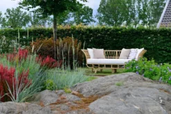 Dagbädd Hillerstorp Lyckesö Natur