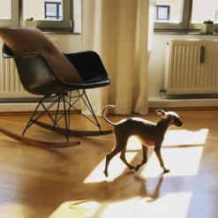 Eames Fiberglass Armchair RAR