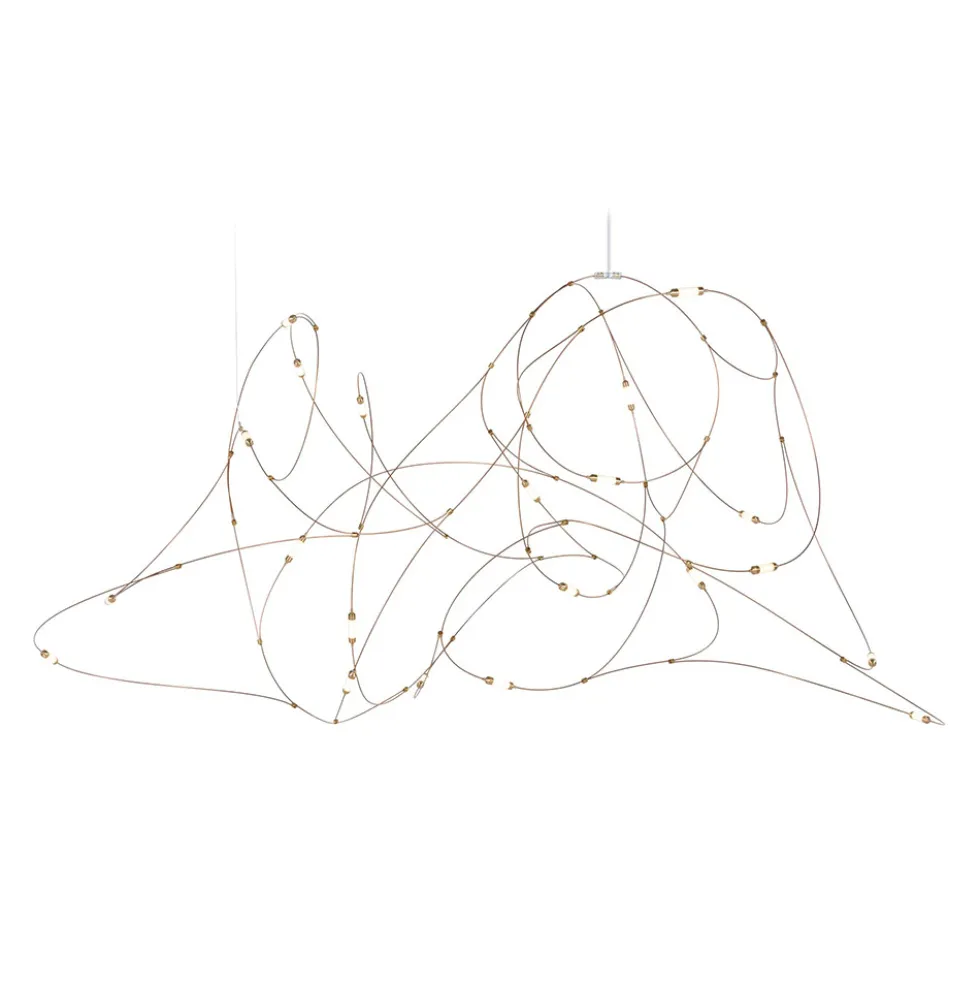 Flock Of Light 21