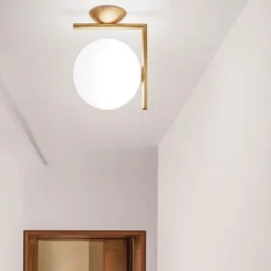 IC Lights Ceiling/wall 1