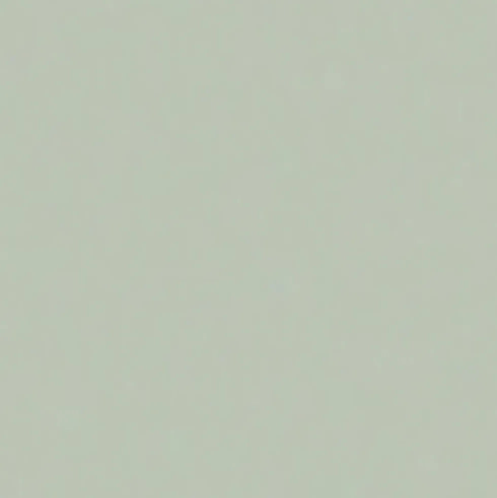 KA72 skåp Nr. 739
