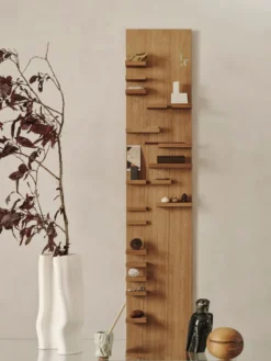 Paradhylla – 140 cm