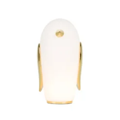 Pet Light Purr