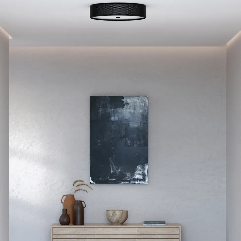 Plafond Grain L mattsvart