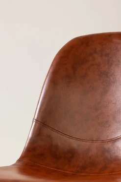 Polar Matstolar Brown