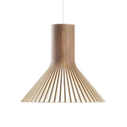 Puncto 4203 pendel