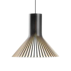 Puncto 4203 pendel