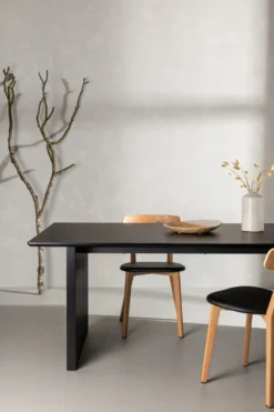 Vail Rektangulärt matbord 200 × 100