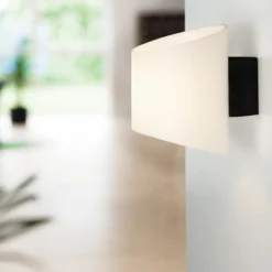 Vägglampa Evoke oval antracit/opal glas